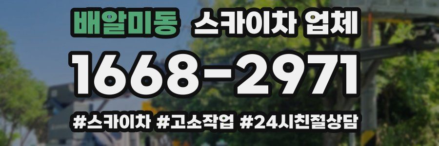 배알미동 스카이차 업체