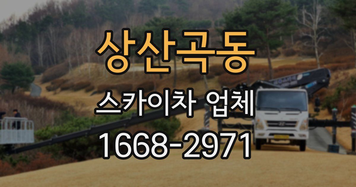 상산곡동 스카이차 업체