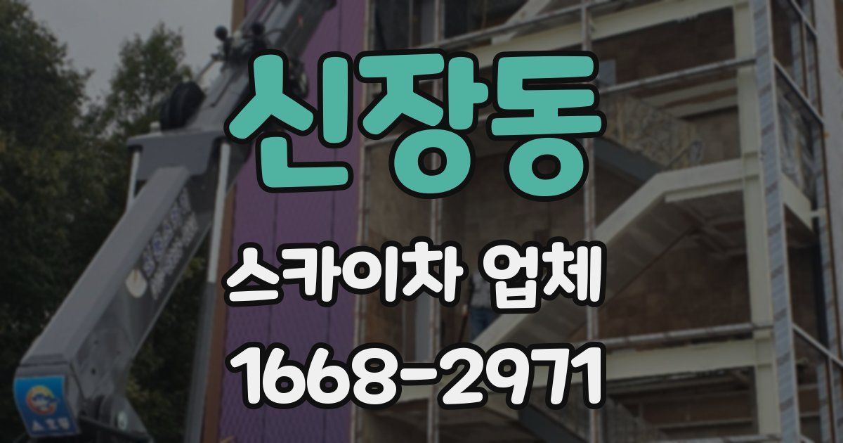 신장동 스카이차 업체
