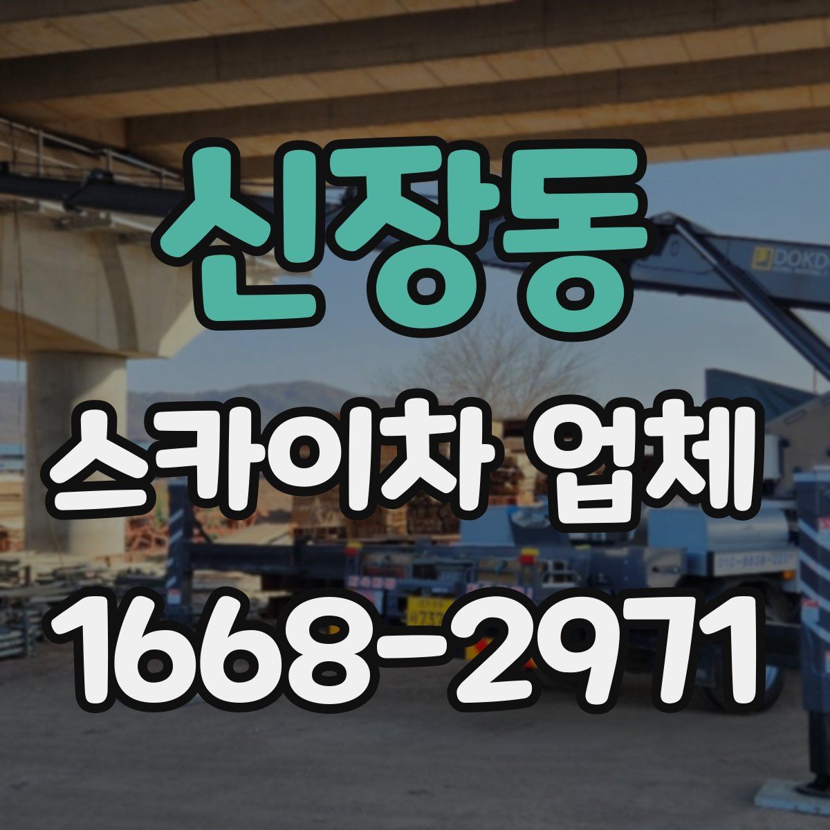 신장동 스카이차 업체