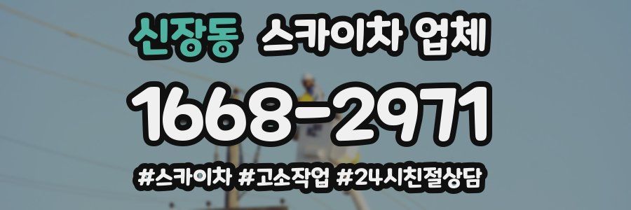 신장동 스카이차 업체