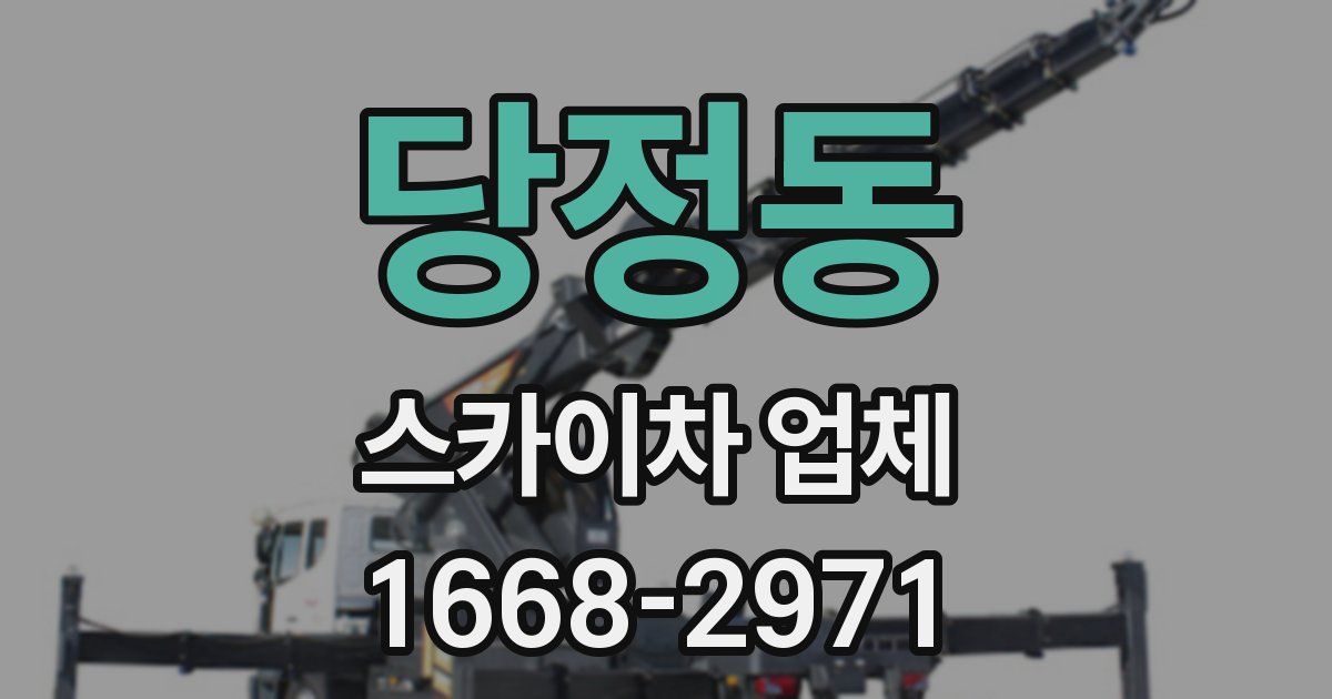 당정동 스카이차 업체