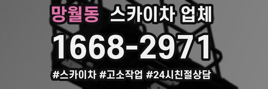 망월동 스카이차 업체