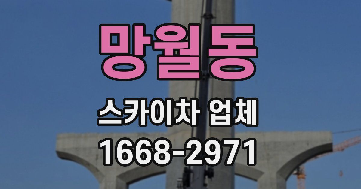 망월동 스카이차 업체