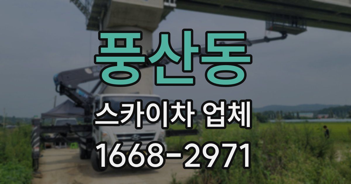 풍산동 스카이차 업체