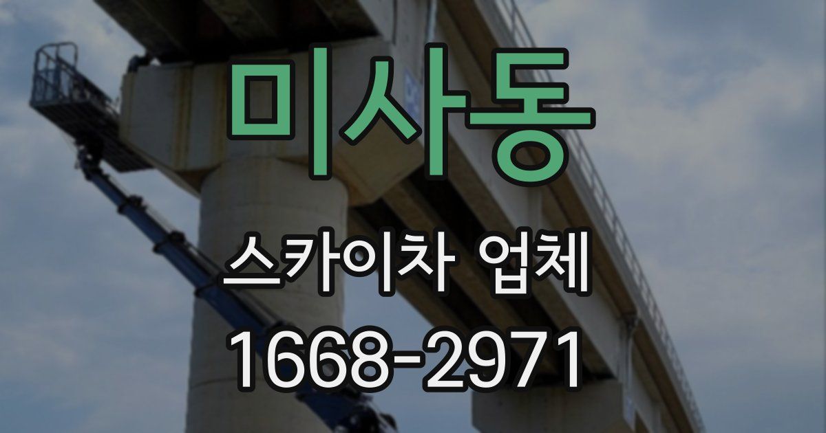 미사동 스카이차 업체