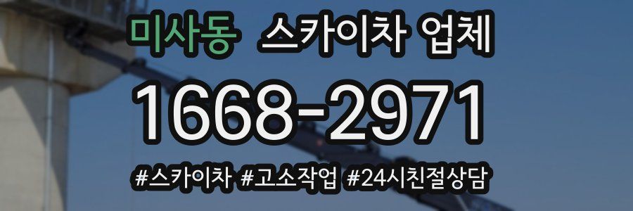 미사동 스카이차 업체
