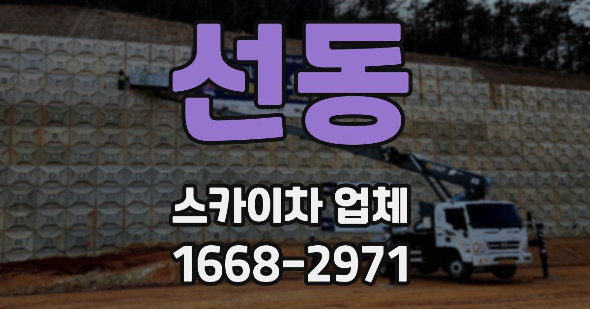 선동 스카이차 업체
