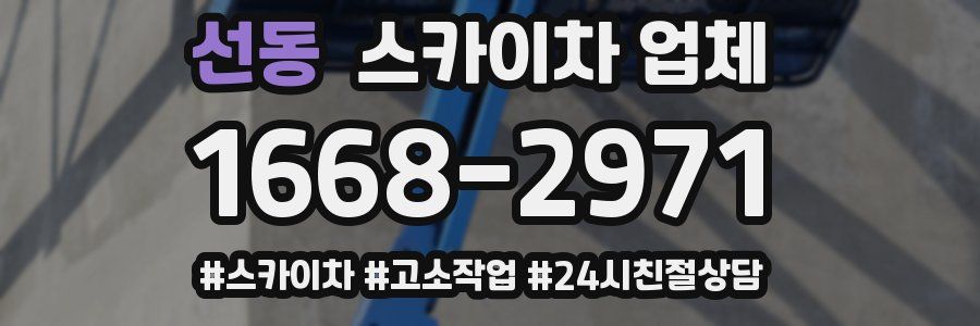 선동 스카이차 업체