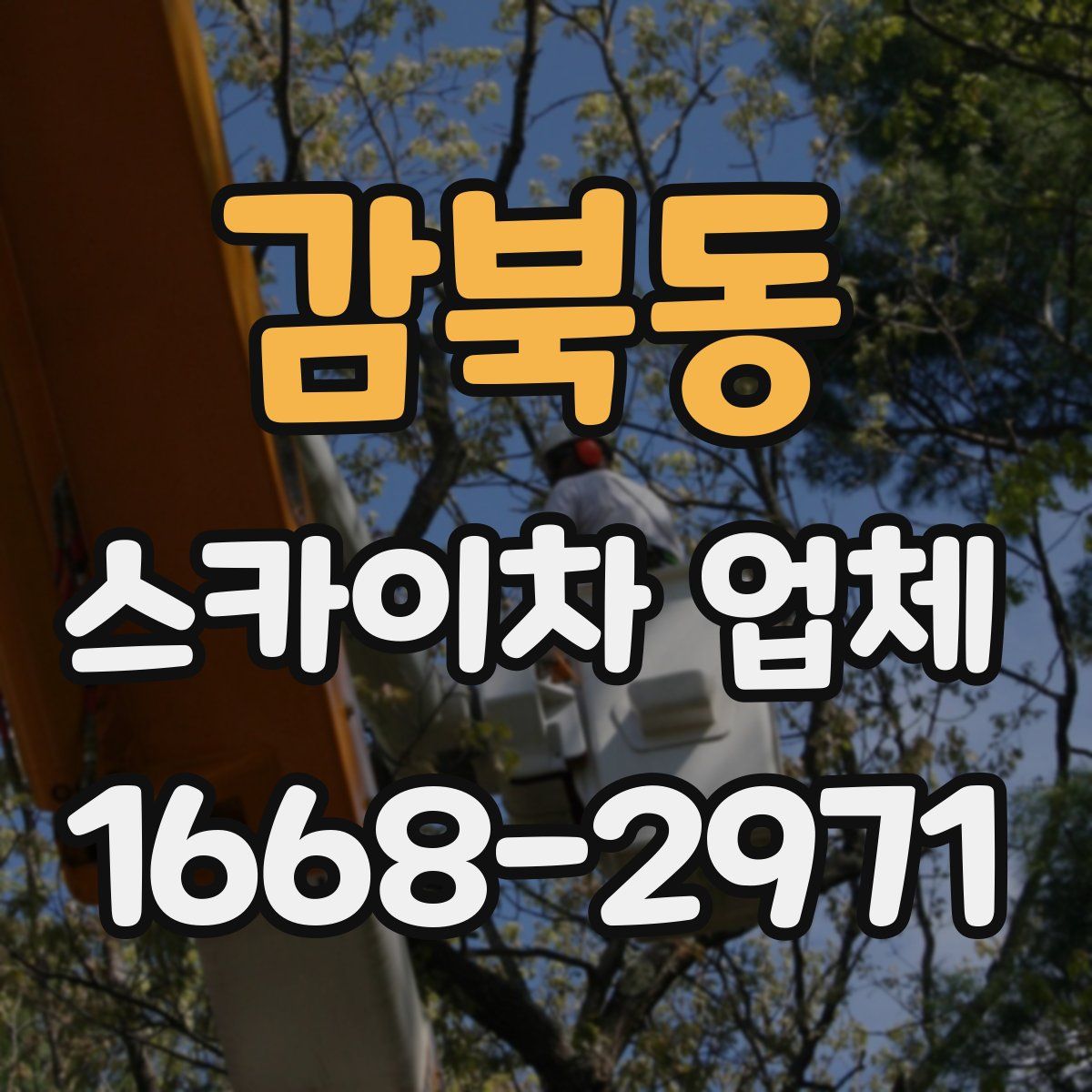 감북동 스카이차 업체