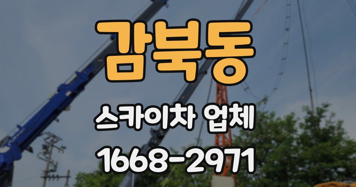 감북동 스카이차 업체