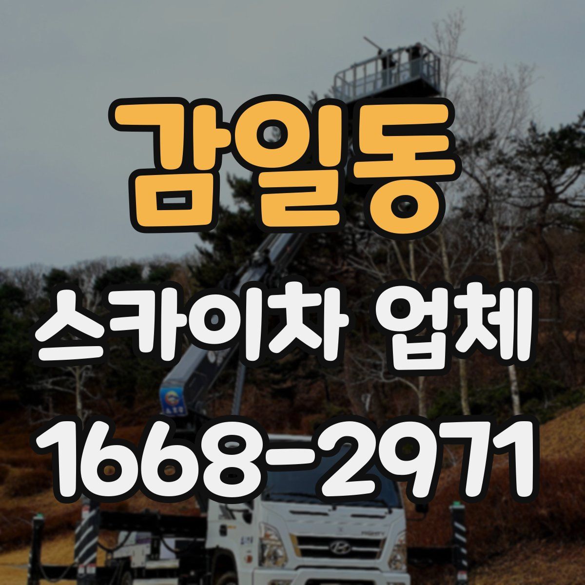 감일동 스카이차 업체