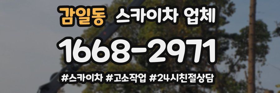 감일동 스카이차 업체