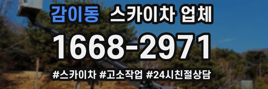 감이동 스카이차 업체