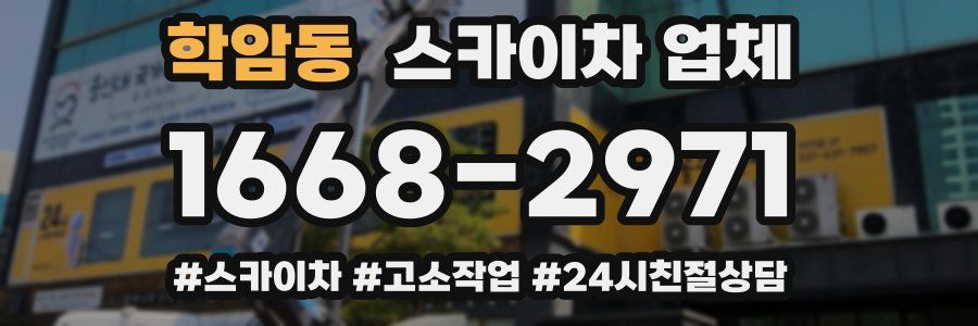 학암동 스카이차 업체