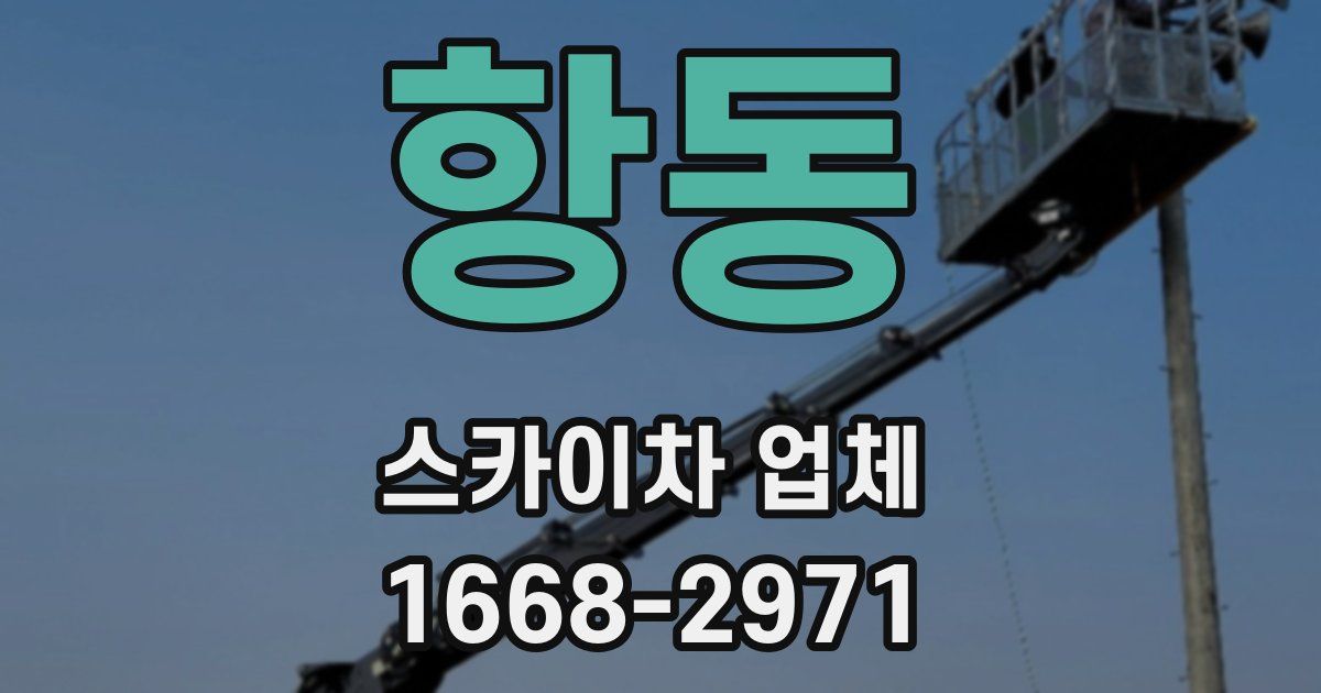 항동 스카이차 업체