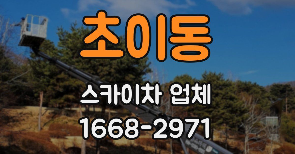 초이동 스카이차 업체