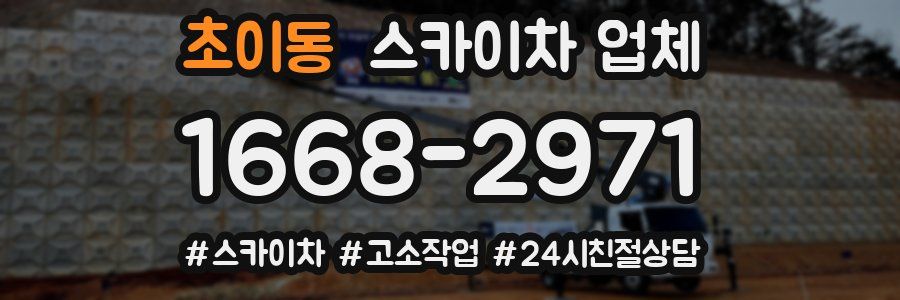 초이동 스카이차 업체