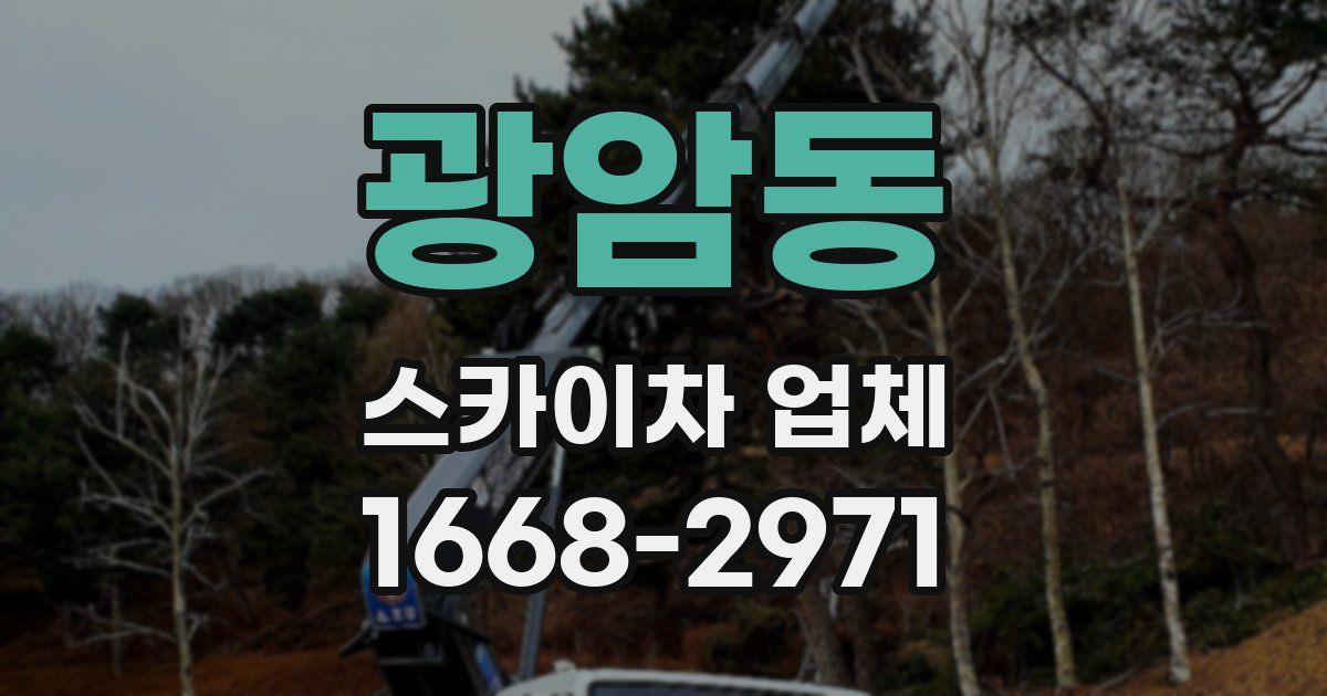 광암동 스카이차 업체