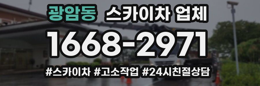 광암동 스카이차 업체