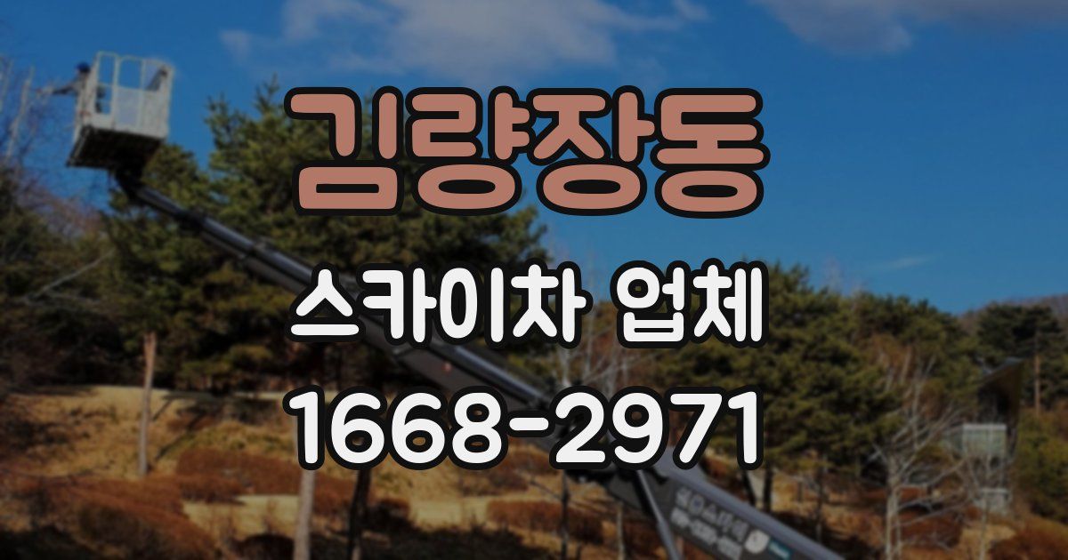 김량장동 스카이차 업체