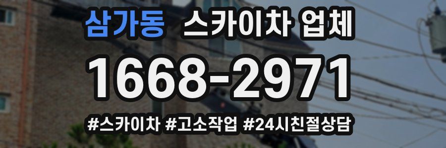 삼가동 스카이차 업체
