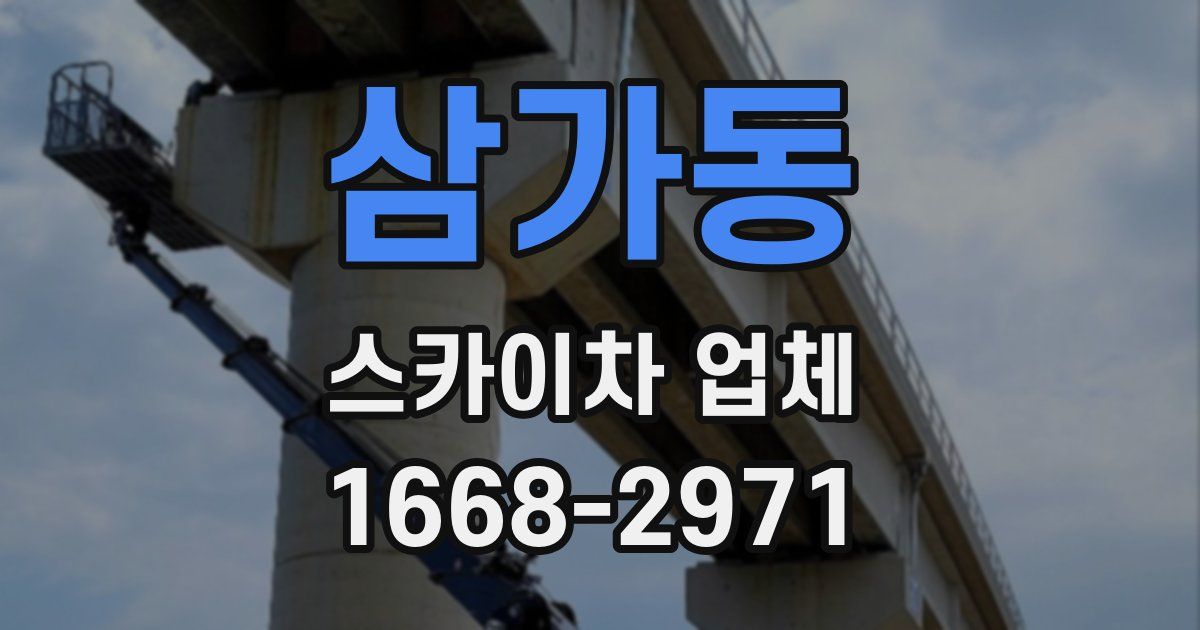 삼가동 스카이차 업체
