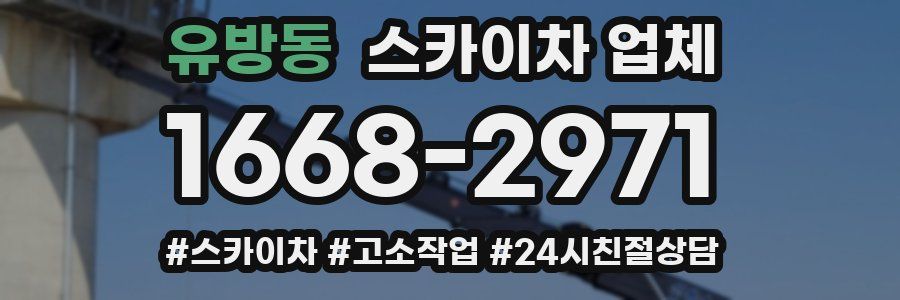 유방동 스카이차 업체