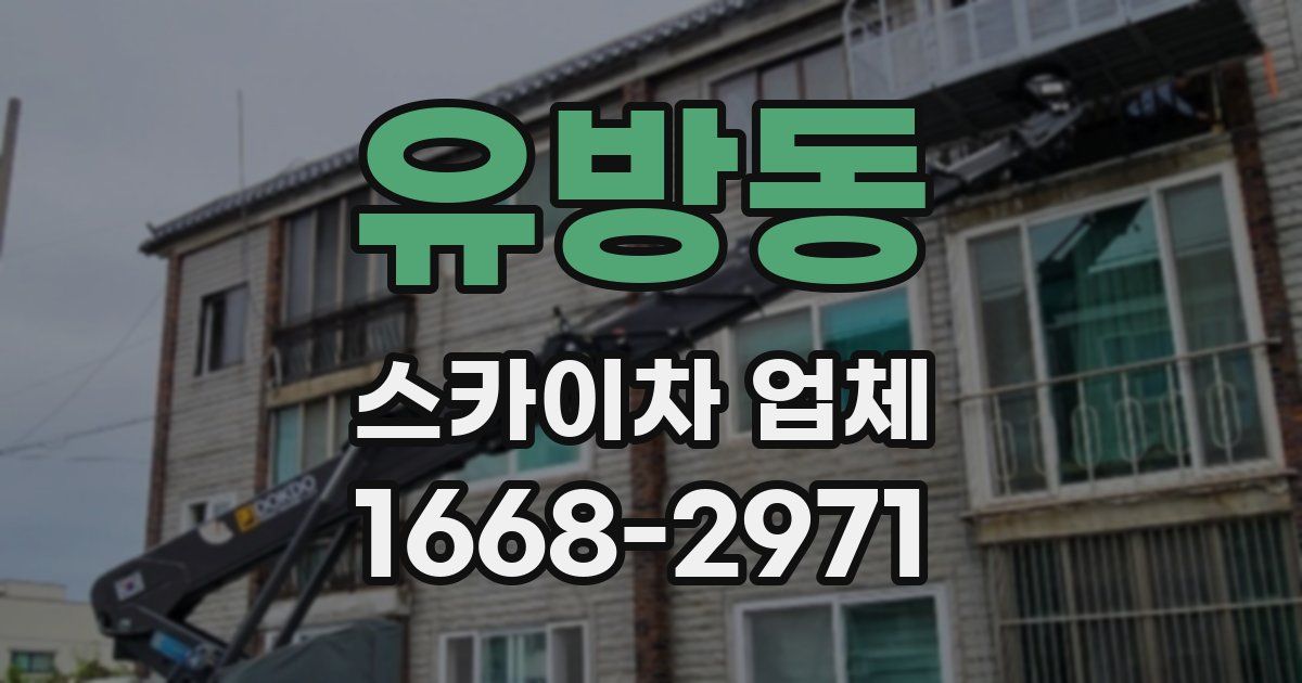 유방동 스카이차 업체