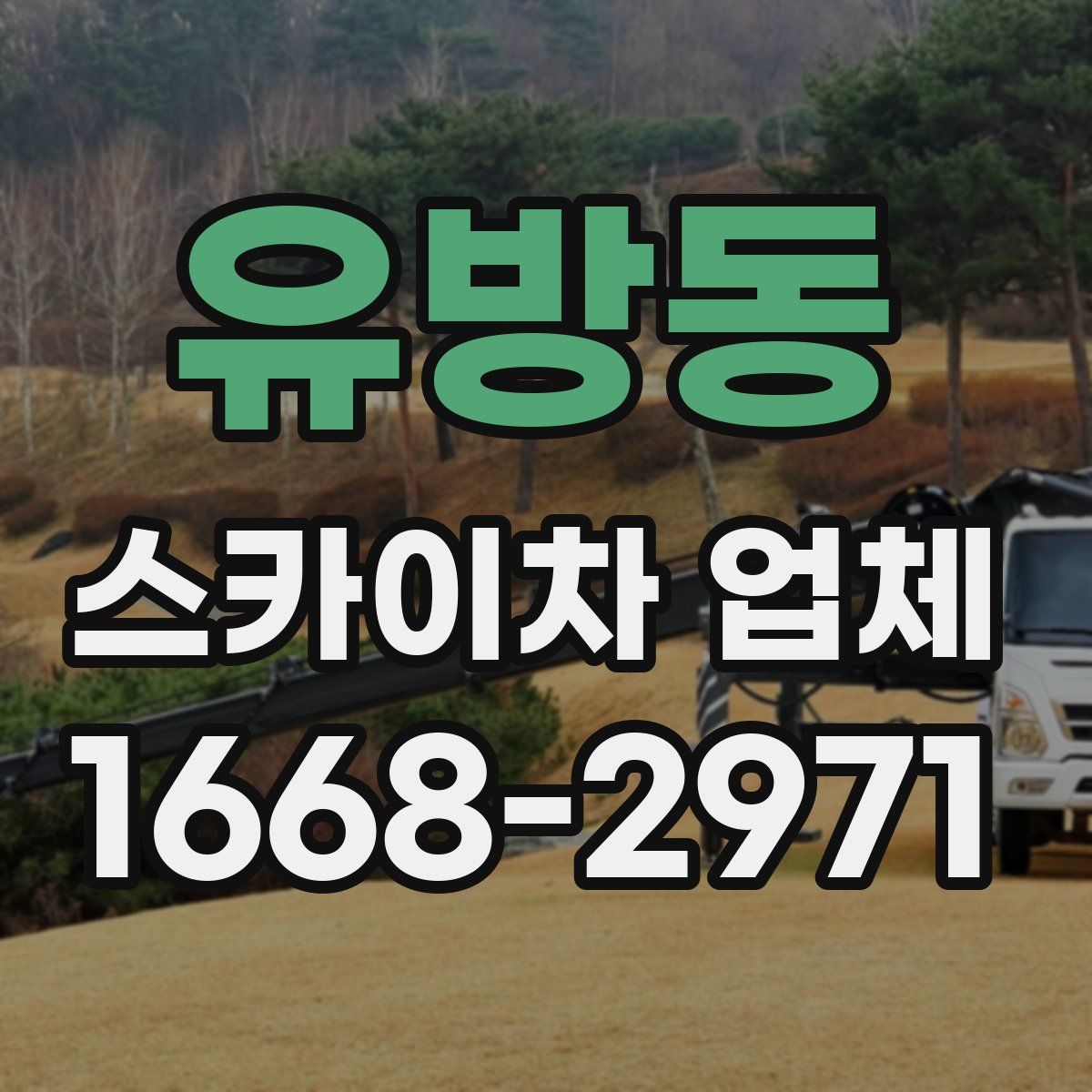 유방동 스카이차 업체