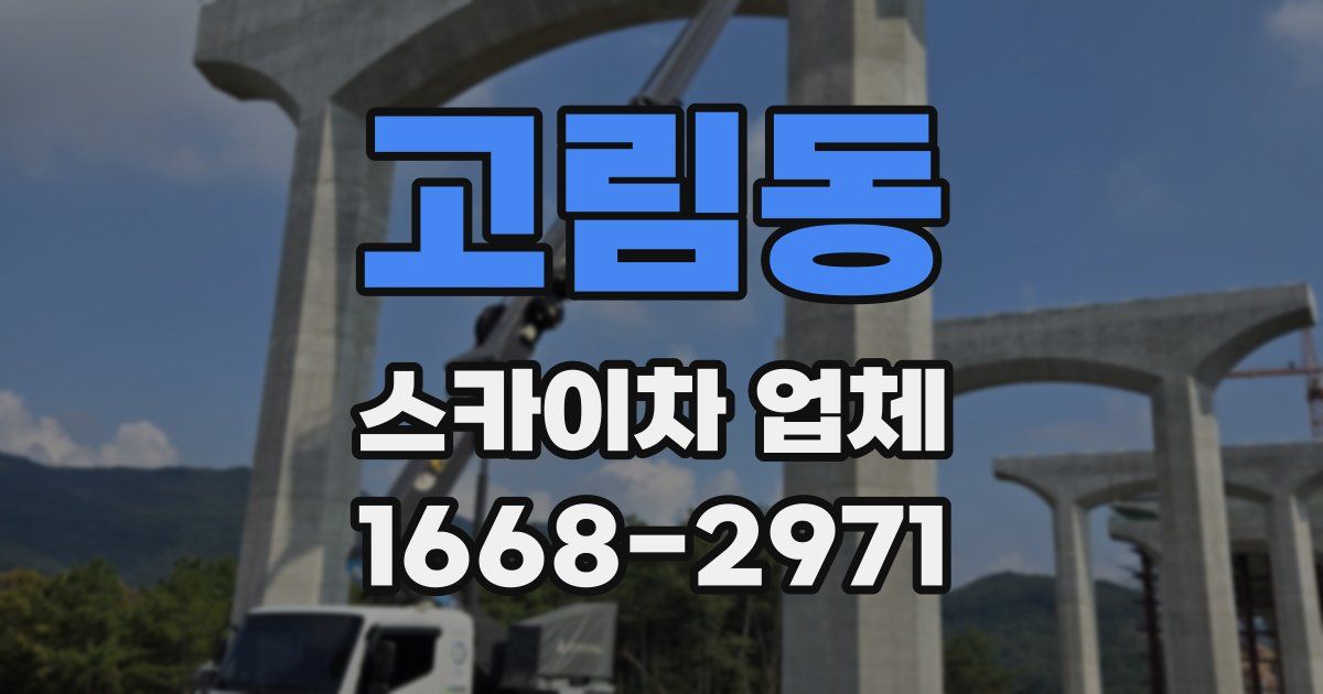 고림동 스카이차 업체