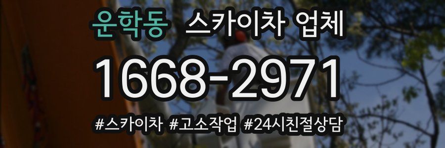 운학동 스카이차 업체