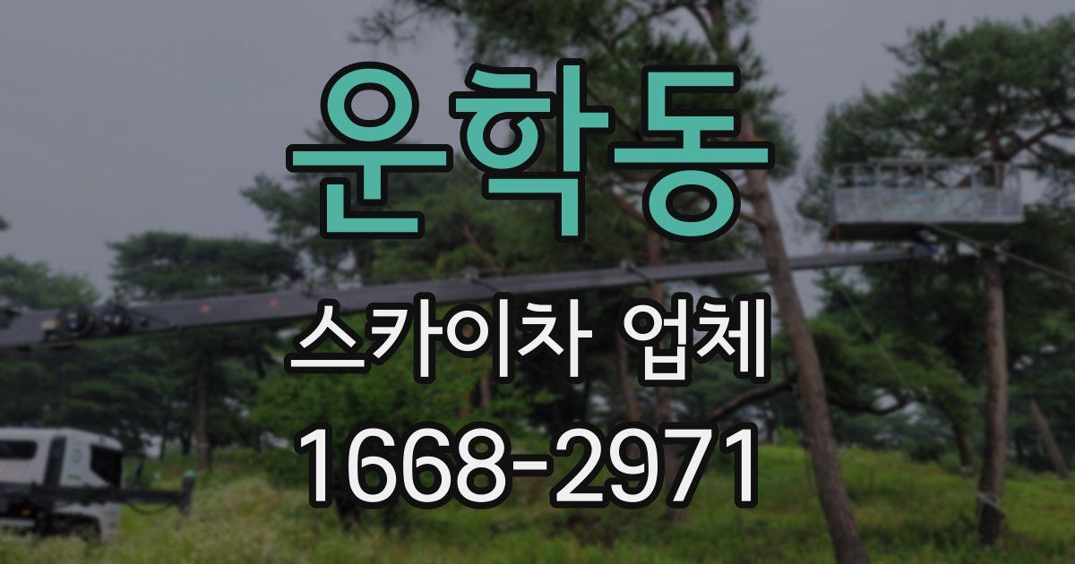 운학동 스카이차 업체
