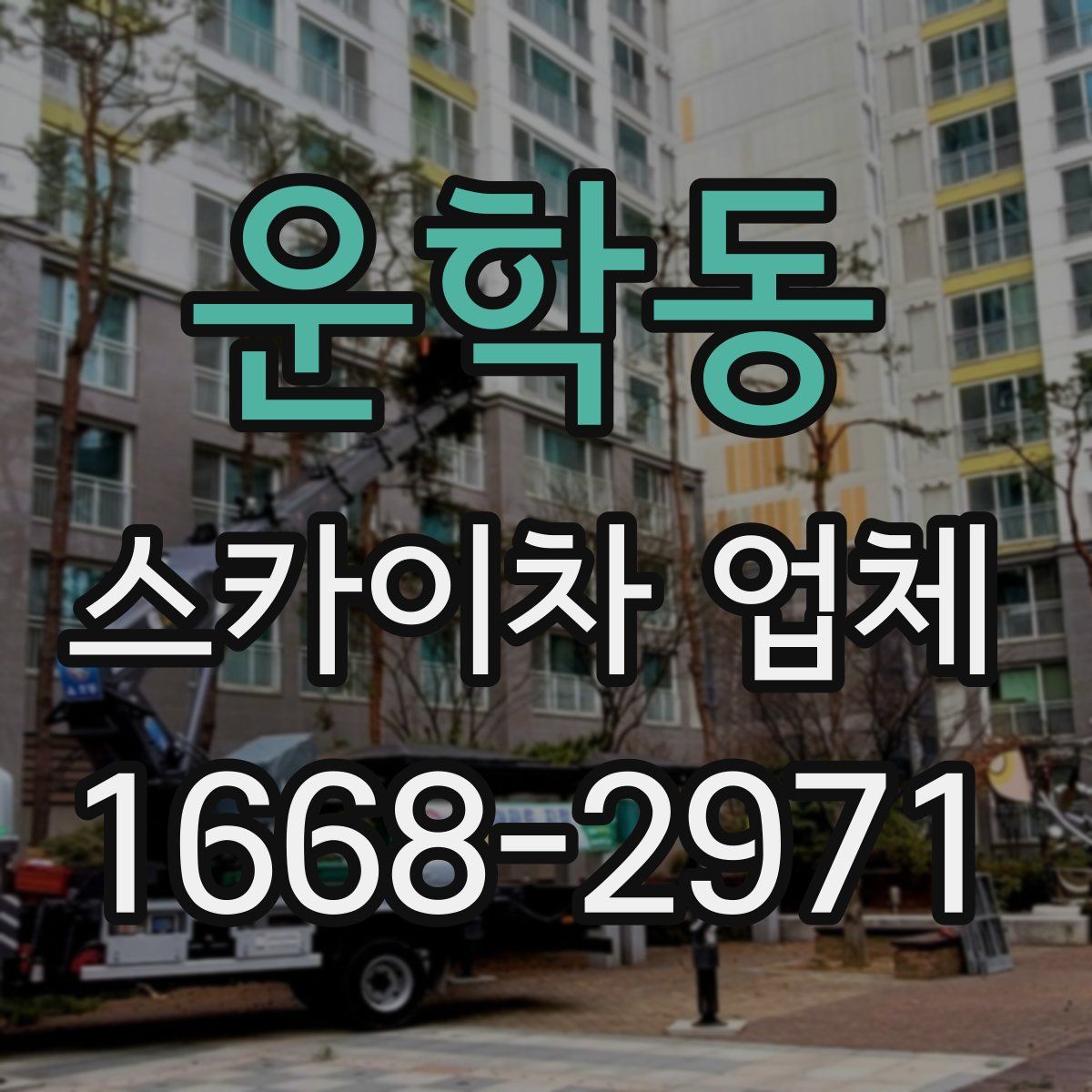 운학동 스카이차 업체
