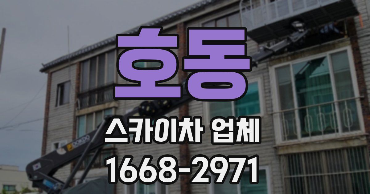 호동 스카이차 업체