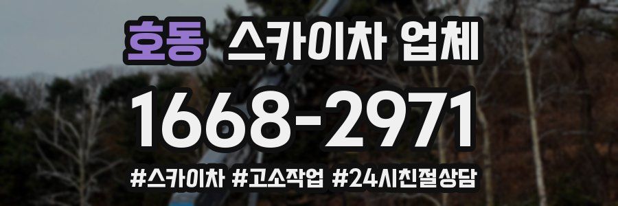 호동 스카이차 업체