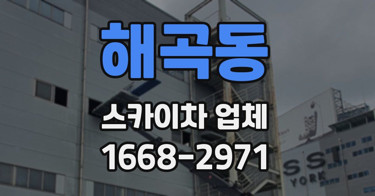 해곡동 스카이차 업체