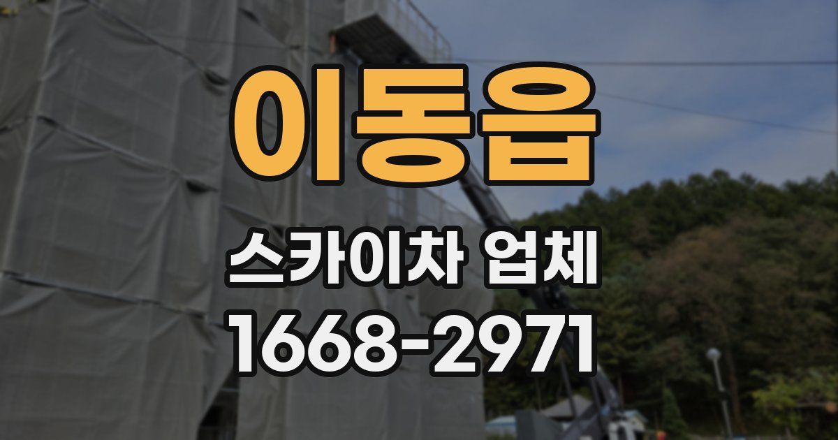이동읍 스카이차 업체