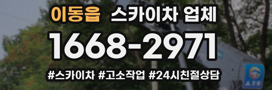 이동읍 스카이차 업체