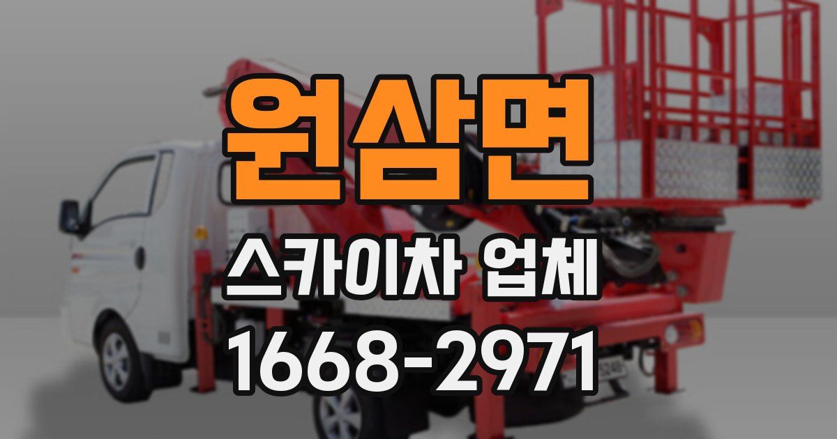 원삼면 스카이차 업체
