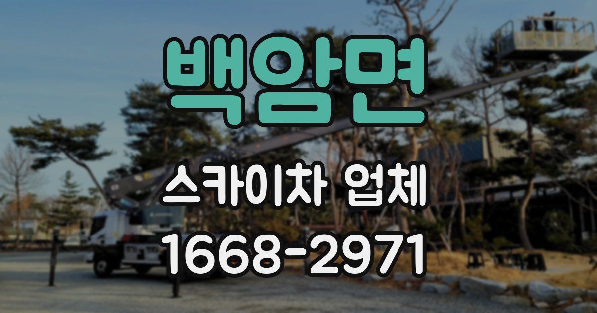 백암면 스카이차 업체