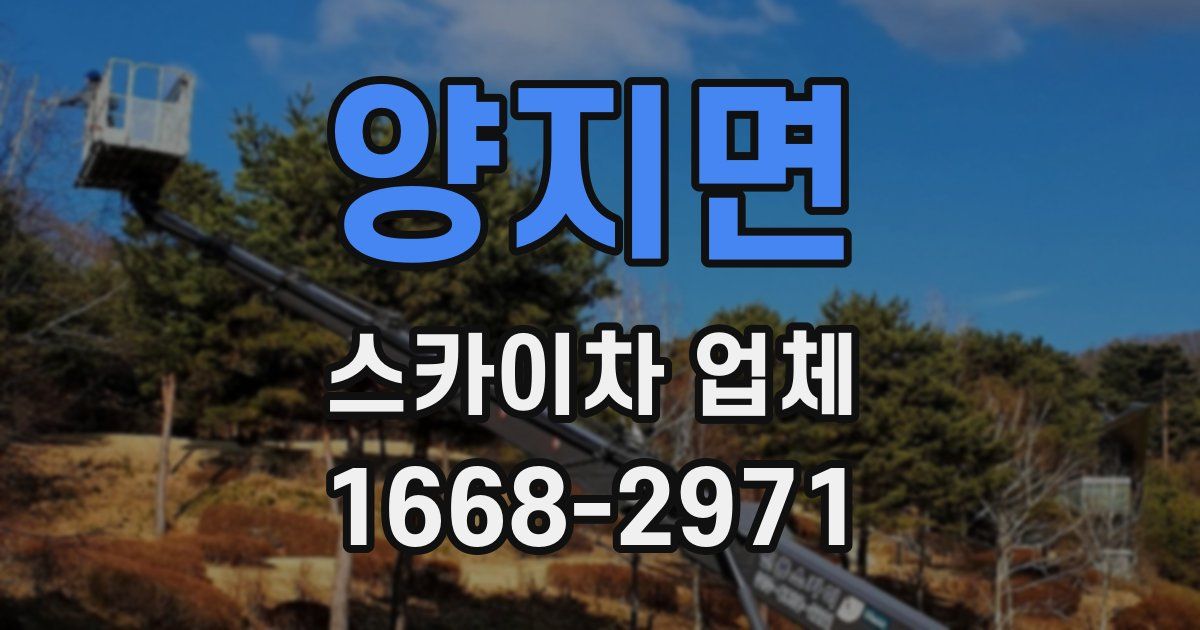 양지면 스카이차 업체