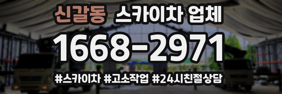 신갈동 스카이차 업체