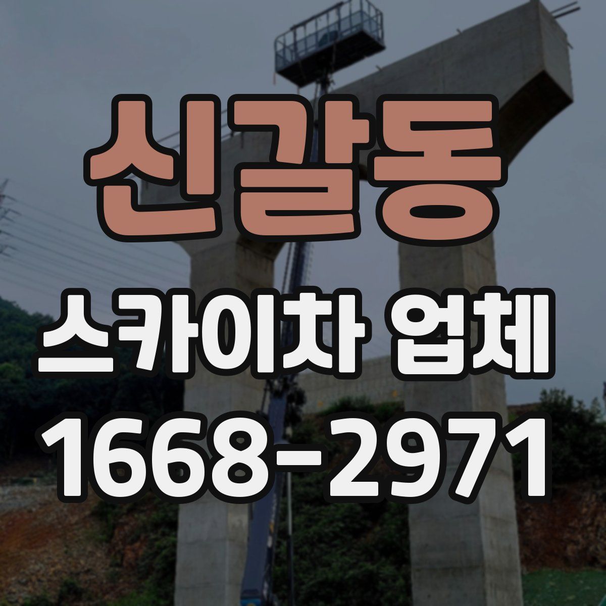 신갈동 스카이차 업체