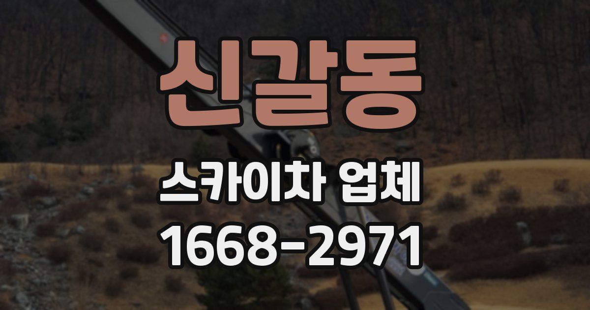 신갈동 스카이차 업체