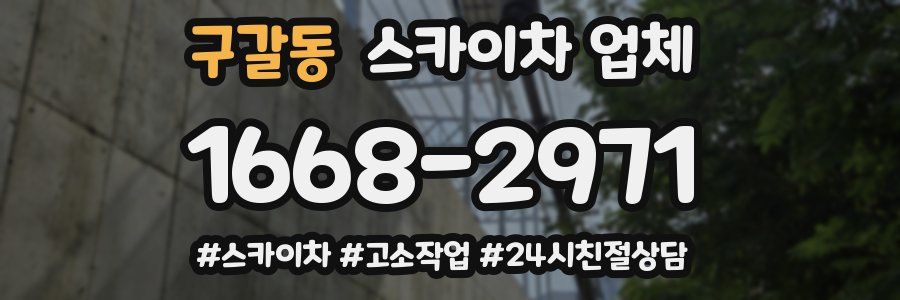 구갈동 스카이차 업체
