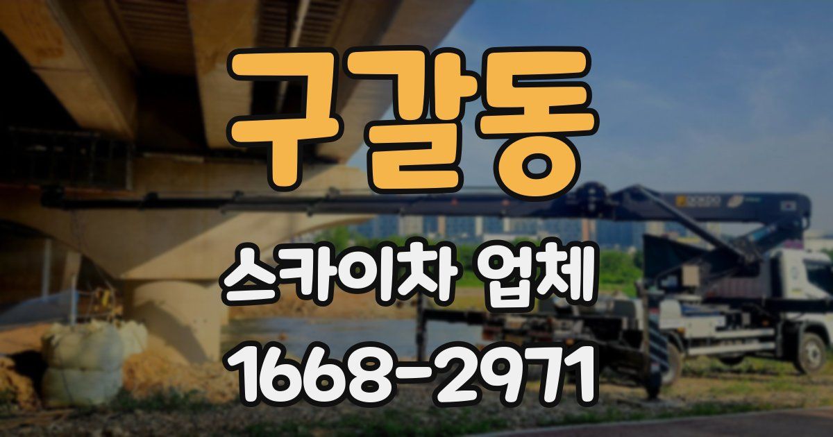 구갈동 스카이차 업체