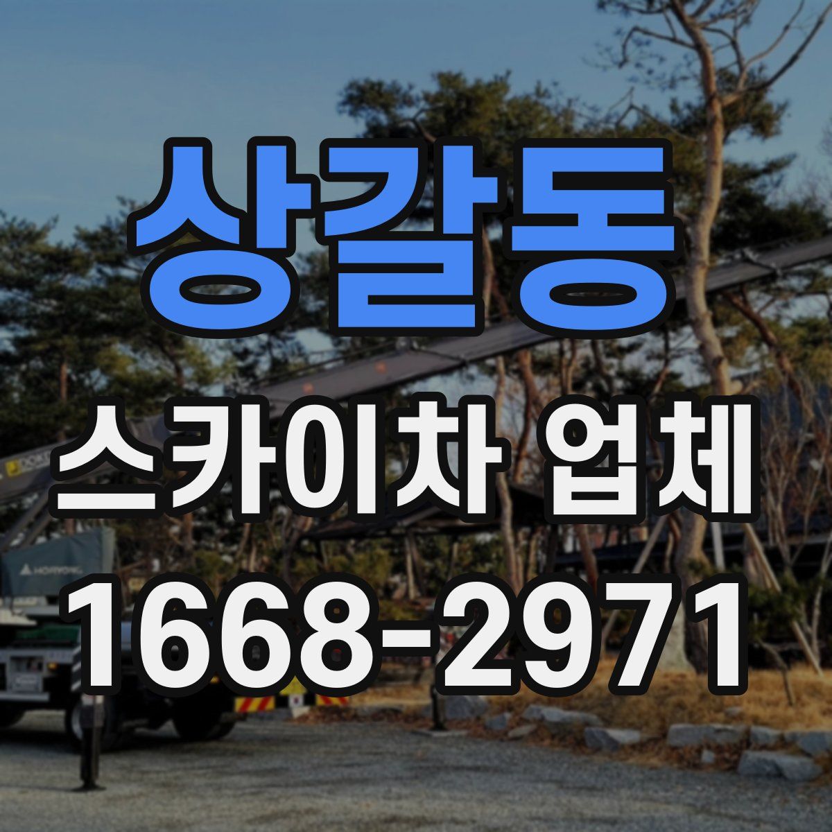 상갈동 스카이차 업체