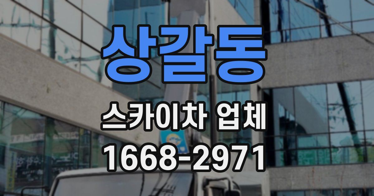 상갈동 스카이차 업체