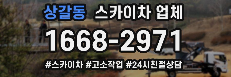 상갈동 스카이차 업체